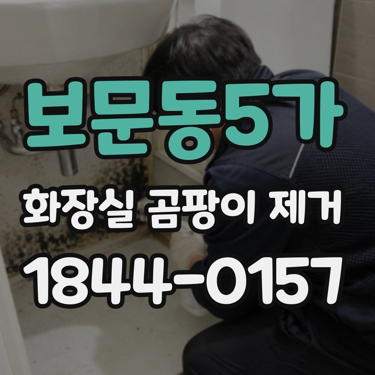 보문동5가 화장실 곰팡이 제거