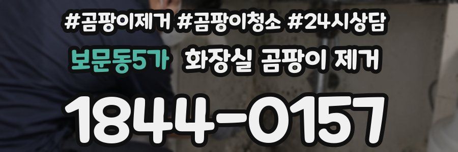 보문동5가 화장실 곰팡이 제거