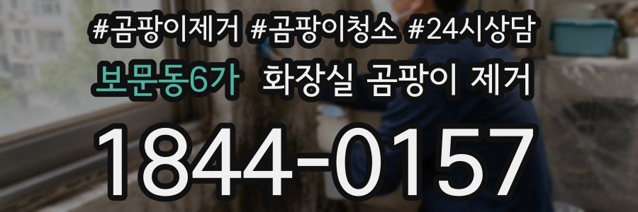 보문동6가 화장실 곰팡이 제거