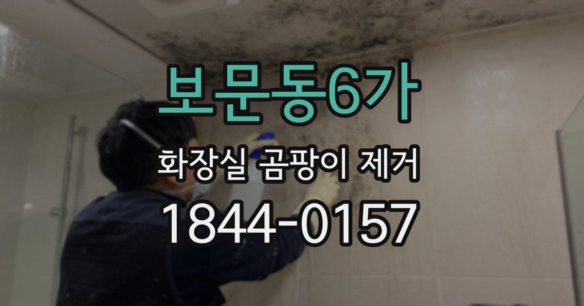 보문동6가 화장실 곰팡이 제거