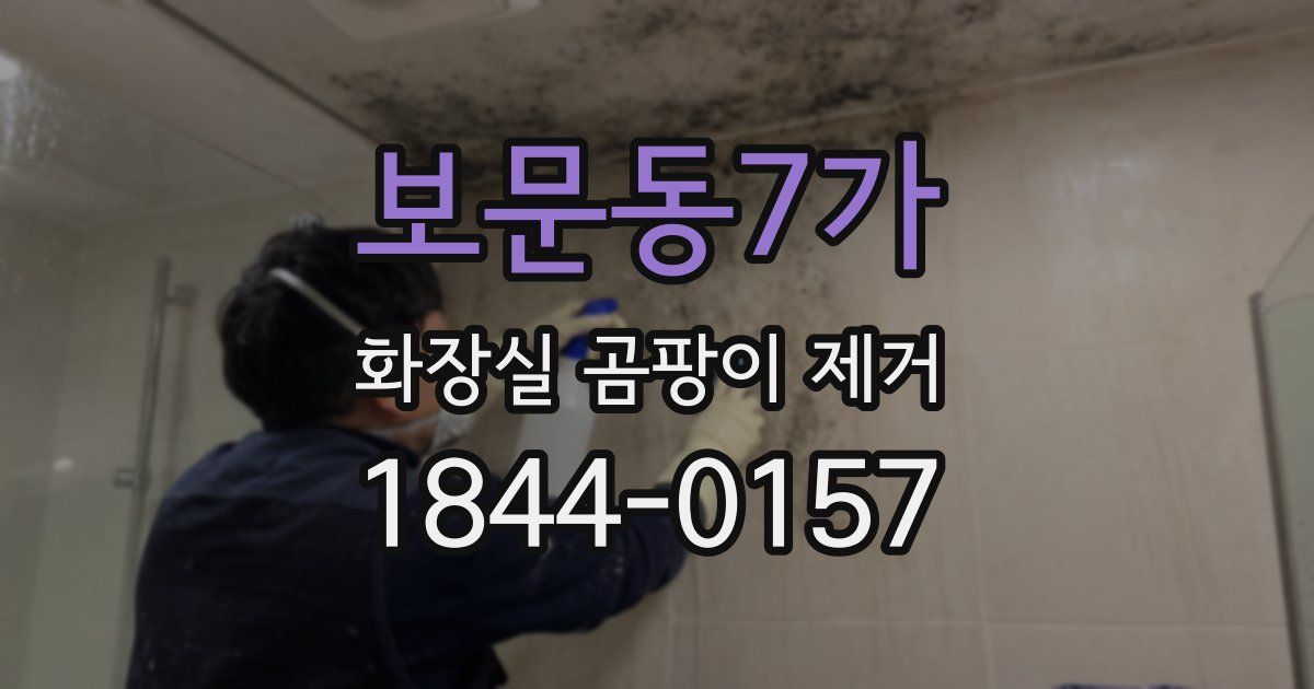 보문동7가 화장실 곰팡이 제거