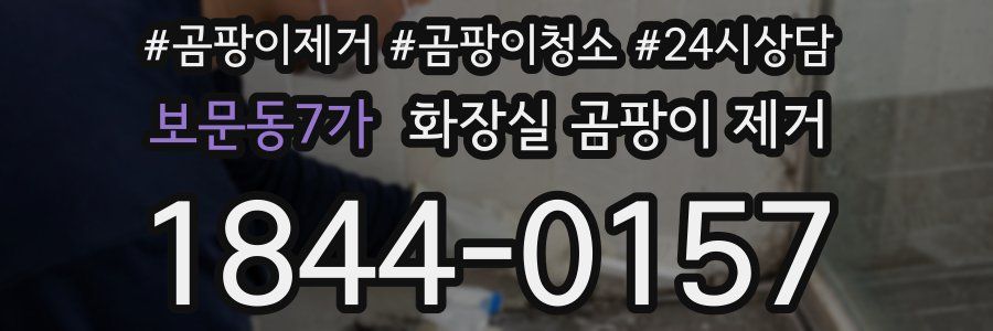 보문동7가 화장실 곰팡이 제거