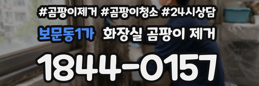 보문동1가 화장실 곰팡이 제거
