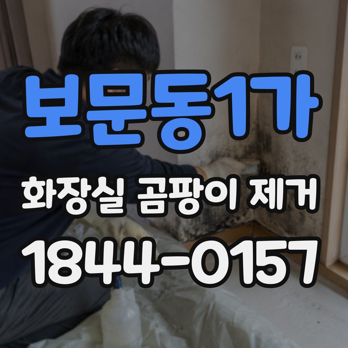 보문동1가 화장실 곰팡이 제거