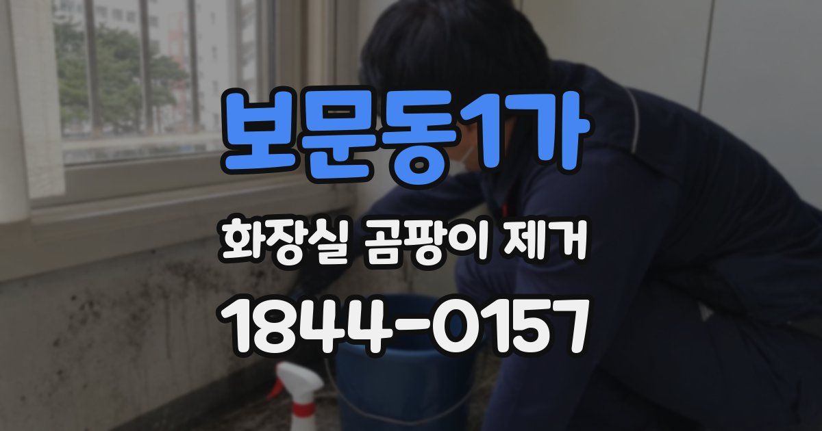 보문동1가 화장실 곰팡이 제거