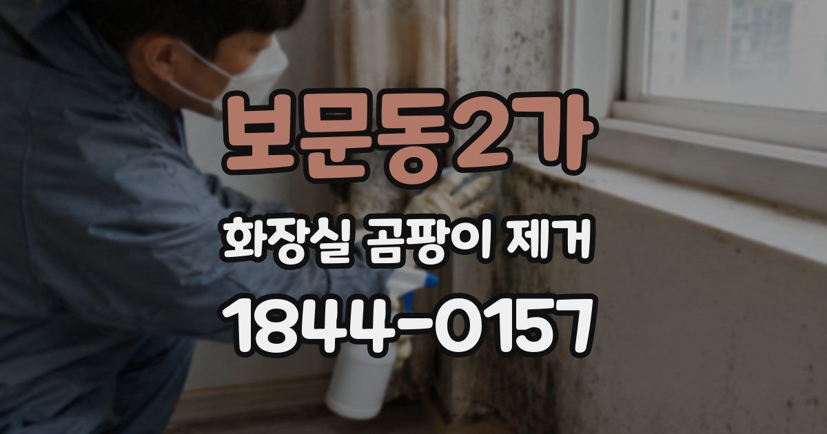 보문동2가 화장실 곰팡이 제거