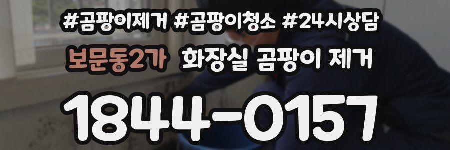 보문동2가 화장실 곰팡이 제거
