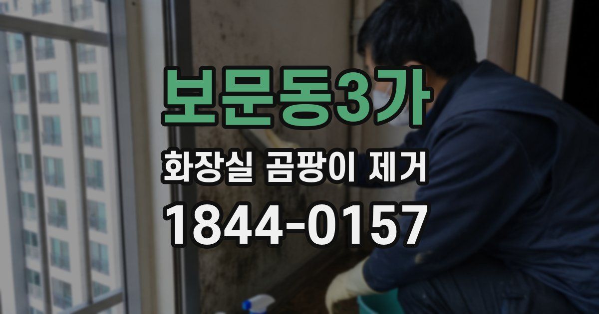 보문동3가 화장실 곰팡이 제거