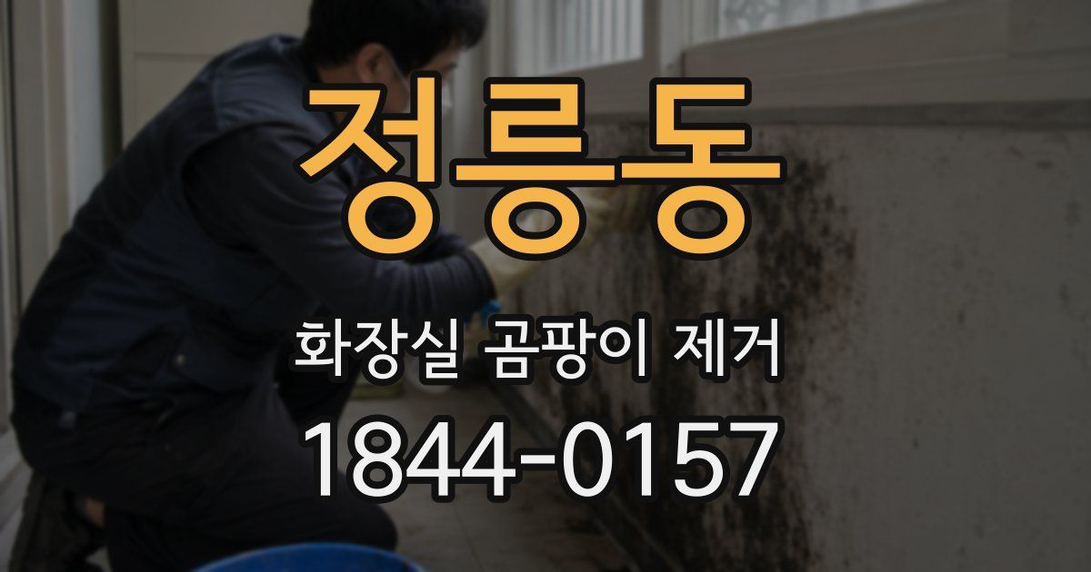 정릉동 화장실 곰팡이 제거