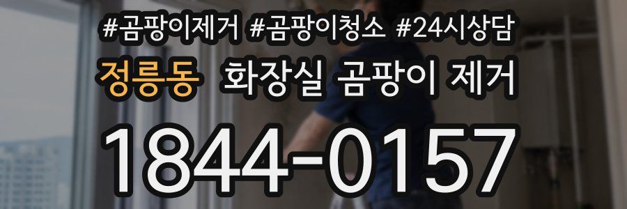 정릉동 화장실 곰팡이 제거