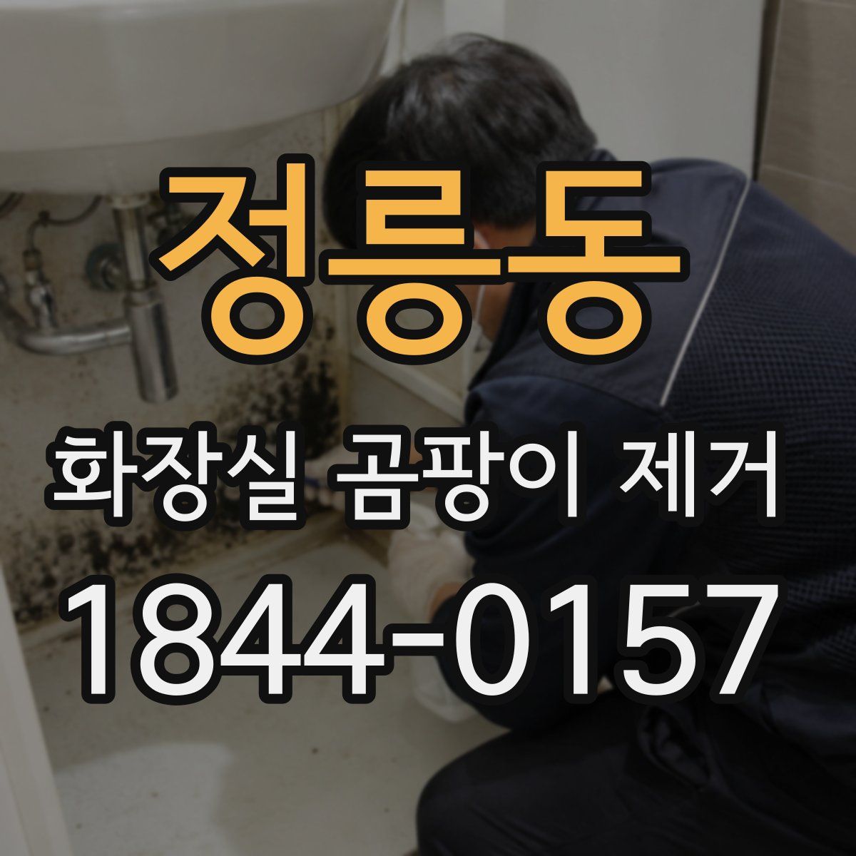 정릉동 화장실 곰팡이 제거