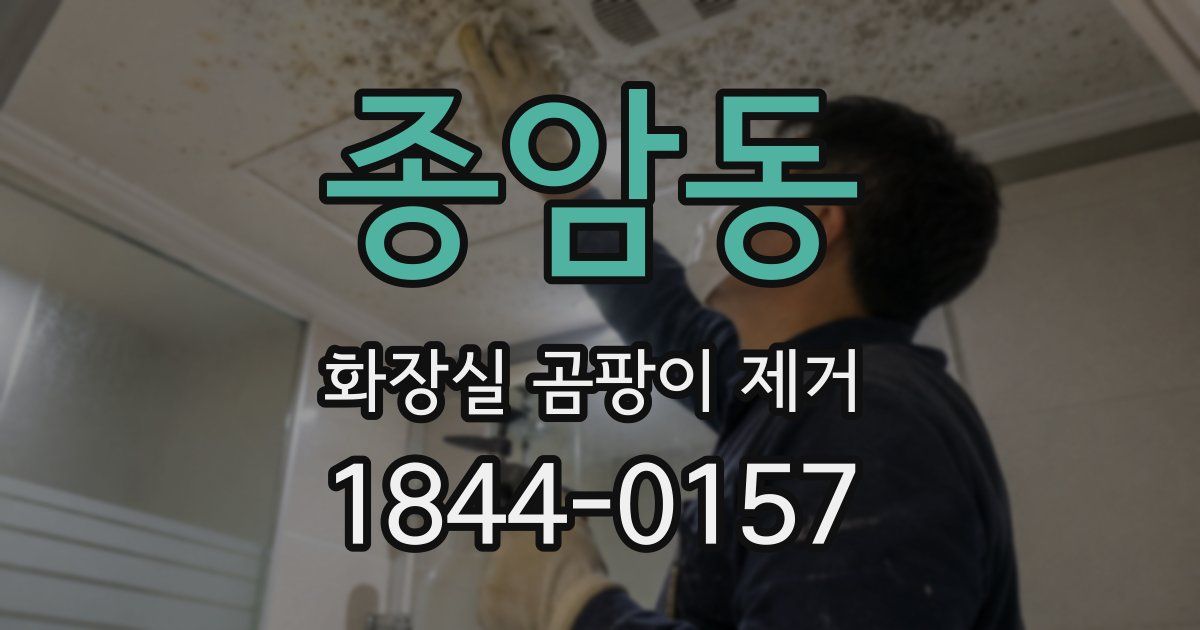 종암동 화장실 곰팡이 제거
