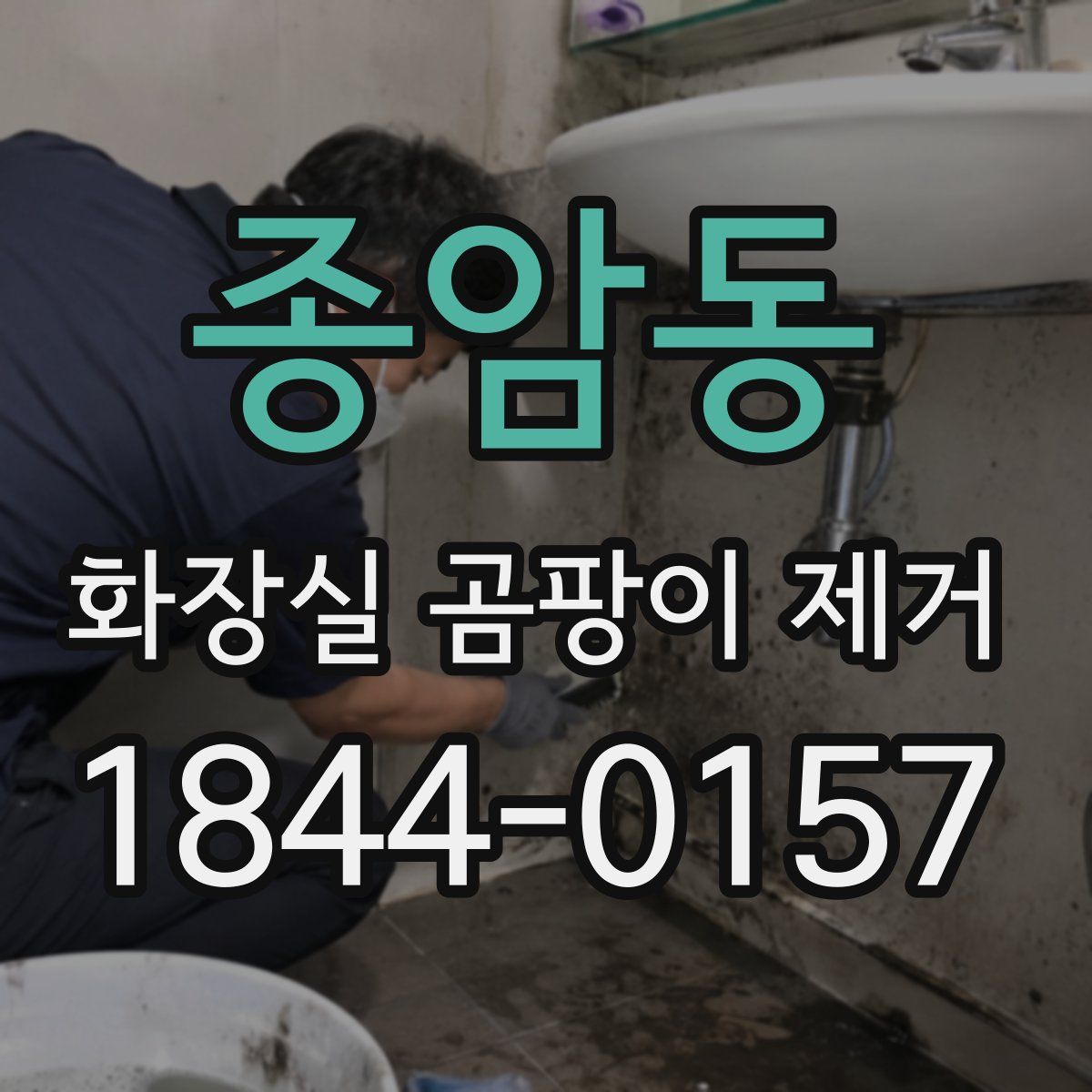 종암동 화장실 곰팡이 제거