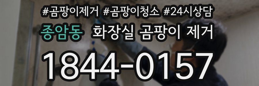 종암동 화장실 곰팡이 제거