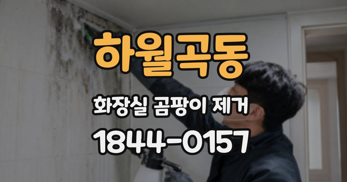 하월곡동 화장실 곰팡이 제거