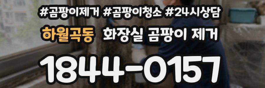 하월곡동 화장실 곰팡이 제거