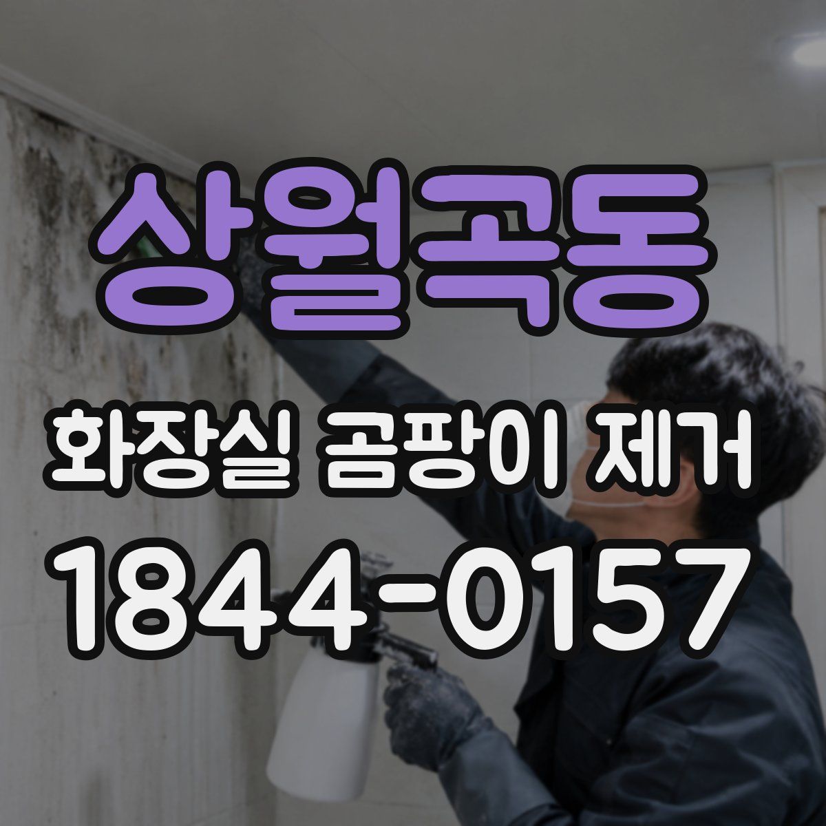 상월곡동 화장실 곰팡이 제거