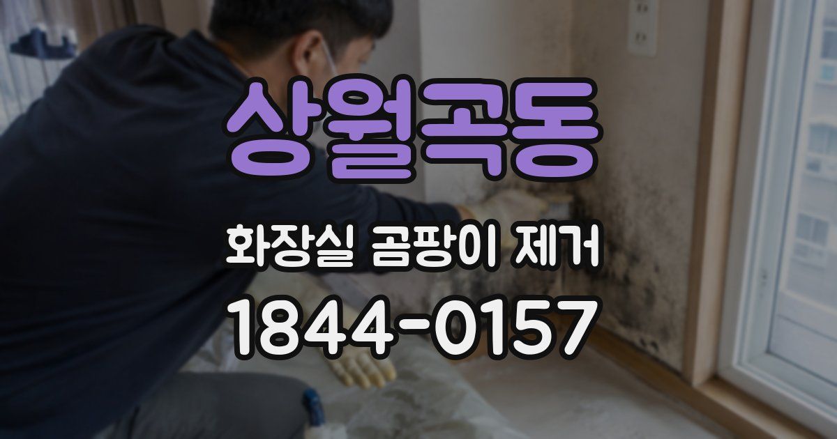 상월곡동 화장실 곰팡이 제거