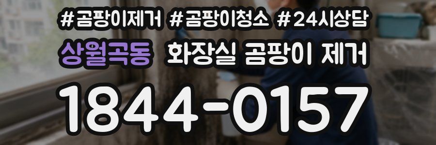 상월곡동 화장실 곰팡이 제거