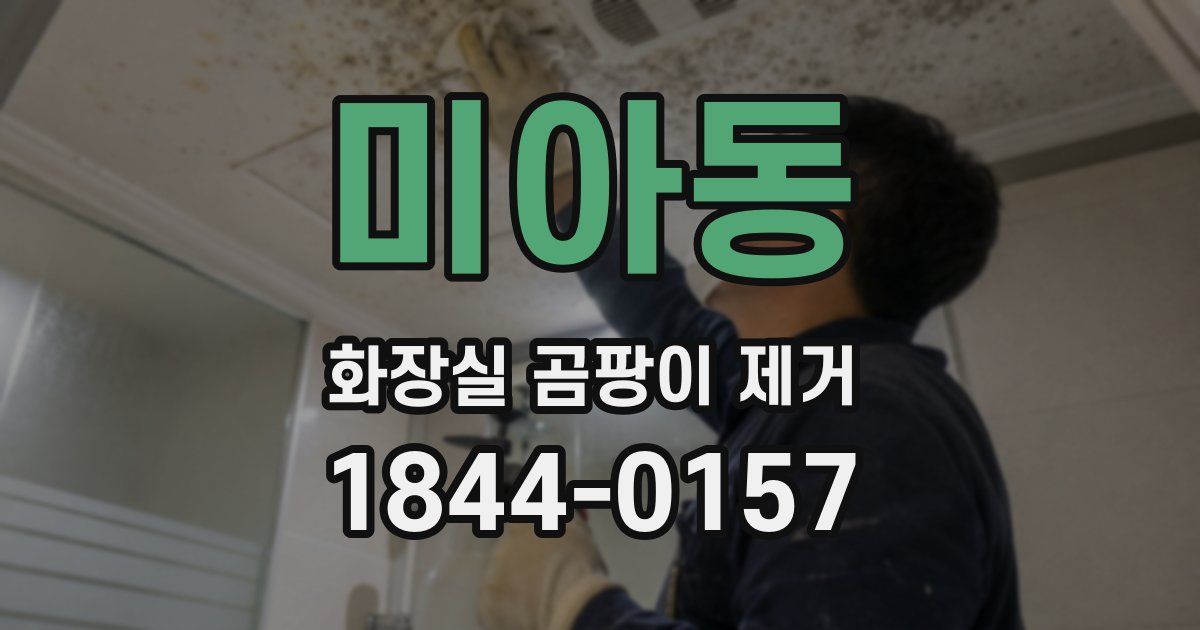 미아동 화장실 곰팡이 제거