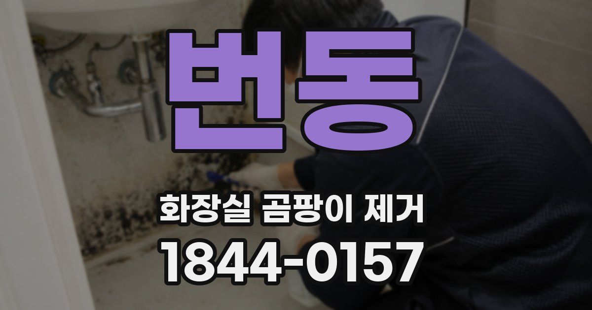 번동 화장실 곰팡이 제거