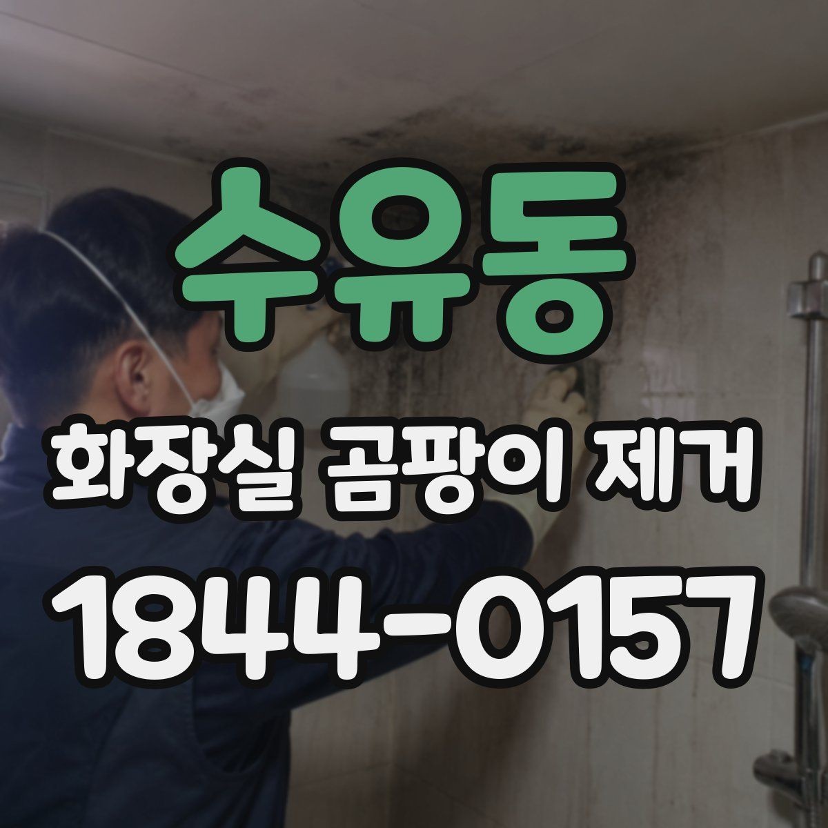 수유동 화장실 곰팡이 제거 벽면 변색이 환기 문제인지 살피기