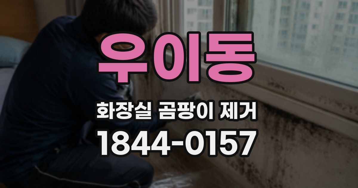 우이동 화장실 곰팡이 제거