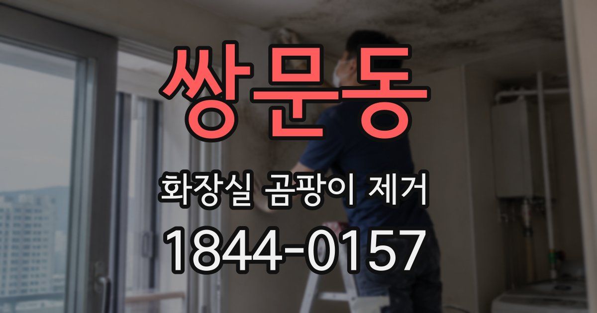 쌍문동 화장실 곰팡이 제거