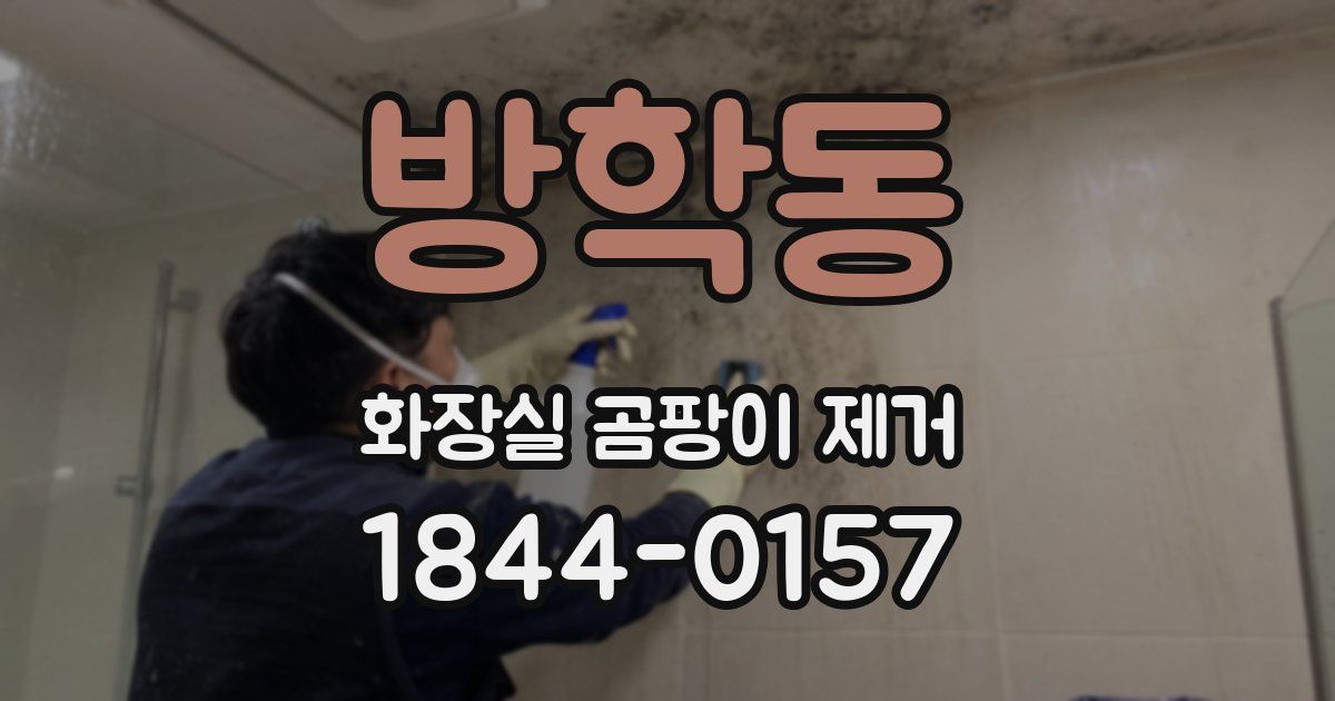 방학동 화장실 곰팡이 제거