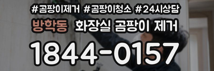 방학동 화장실 곰팡이 제거