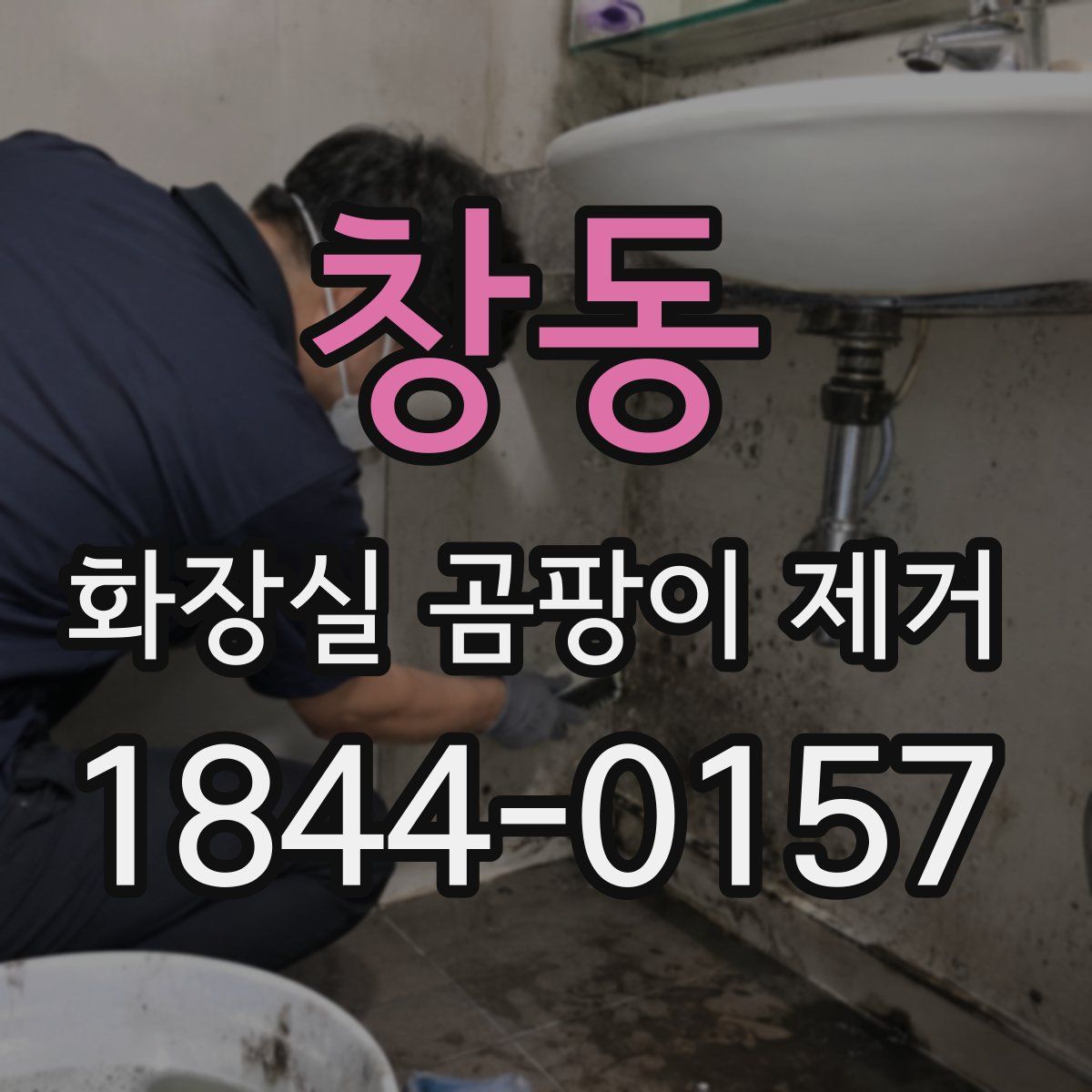 창동 화장실 곰팡이 제거