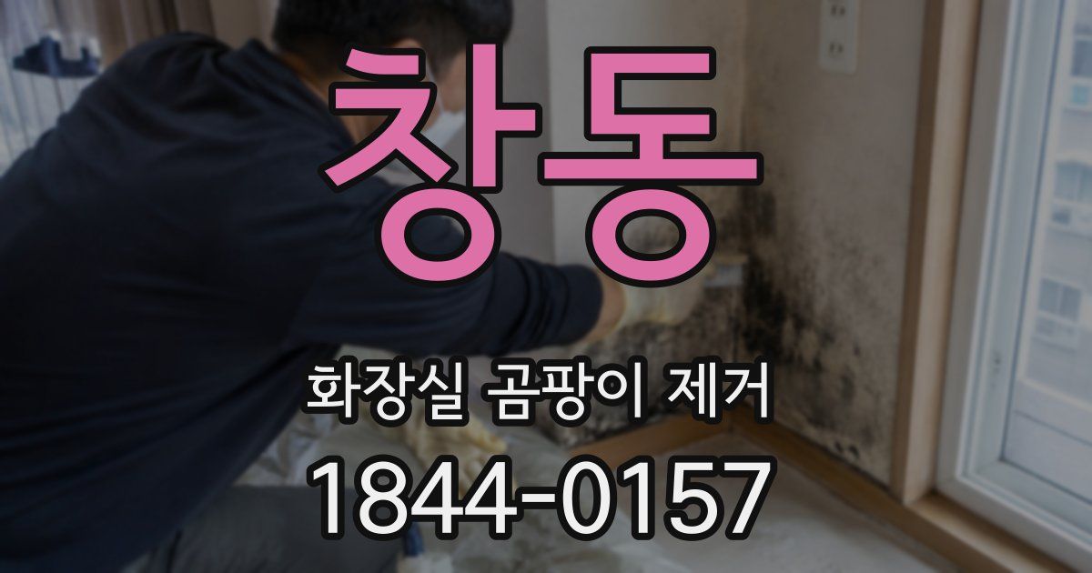 창동 화장실 곰팡이 제거
