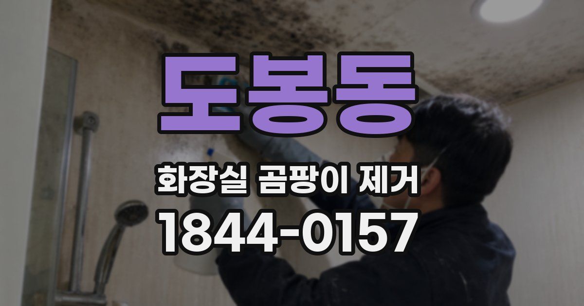 도봉동 화장실 곰팡이 제거