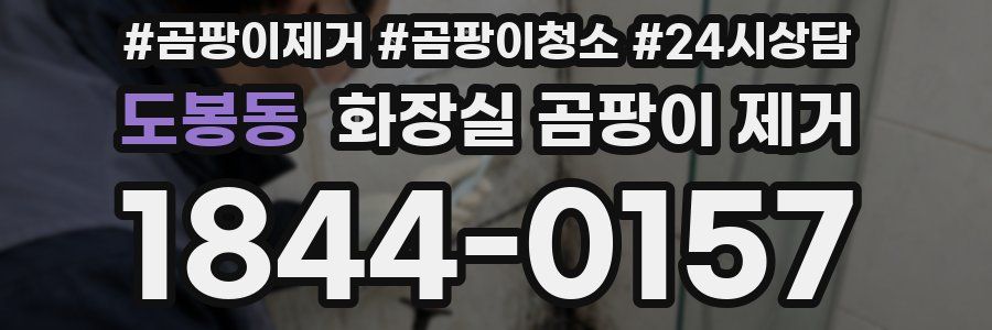 도봉동 화장실 곰팡이 제거