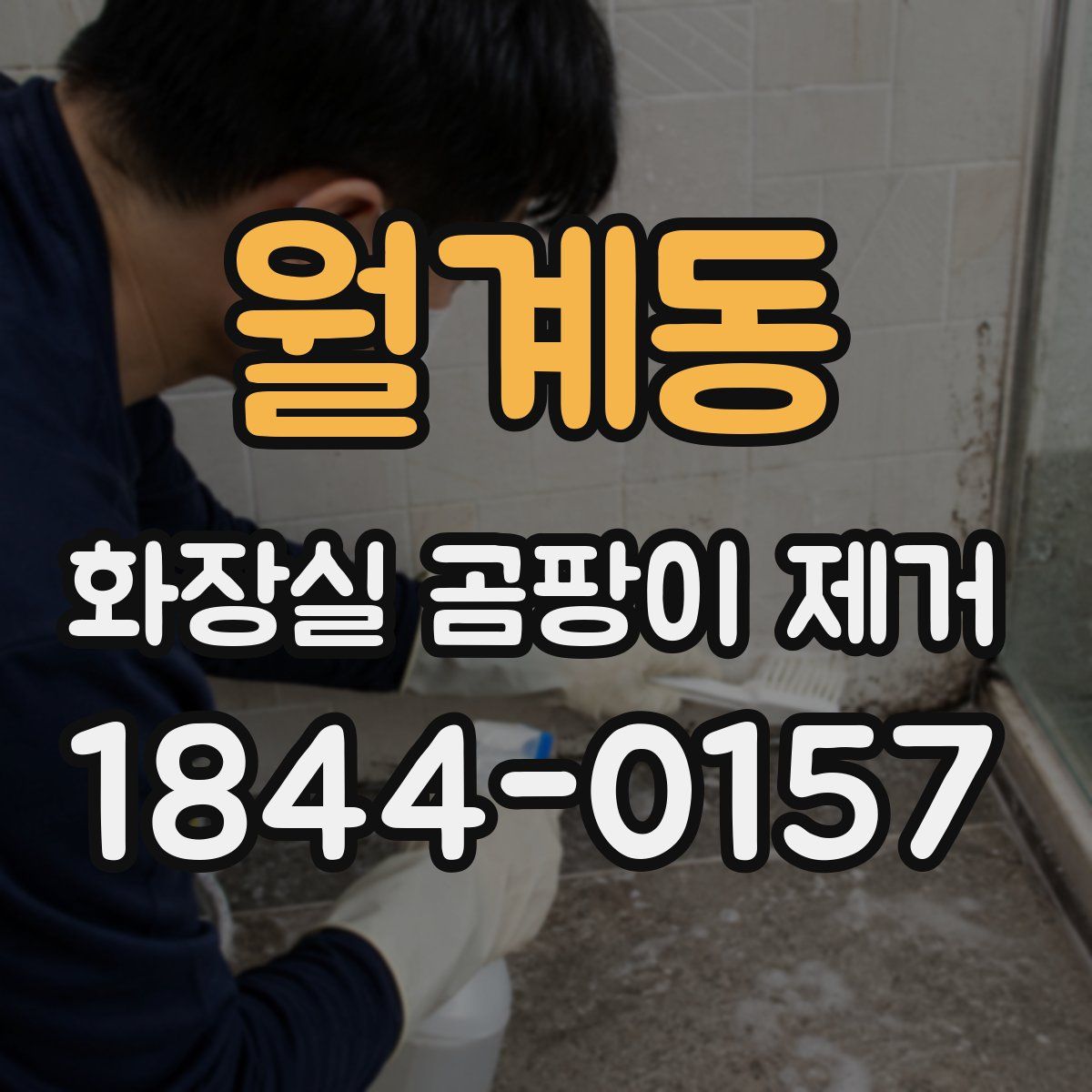 월계동 화장실 곰팡이 제거