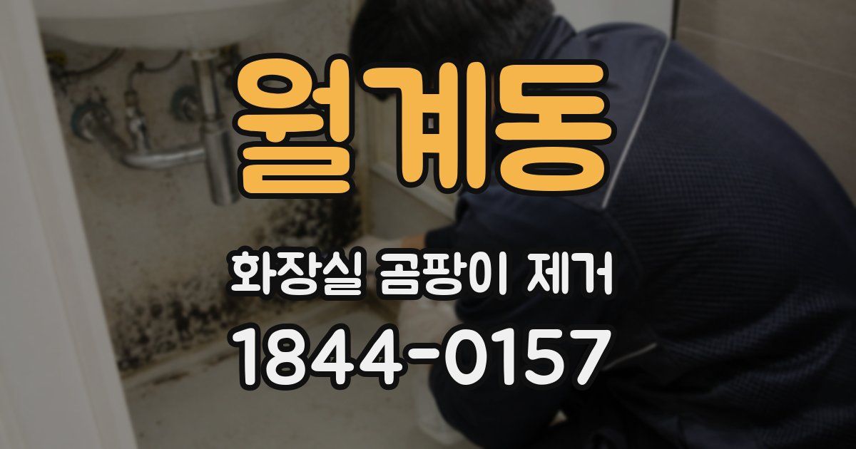 월계동 화장실 곰팡이 제거