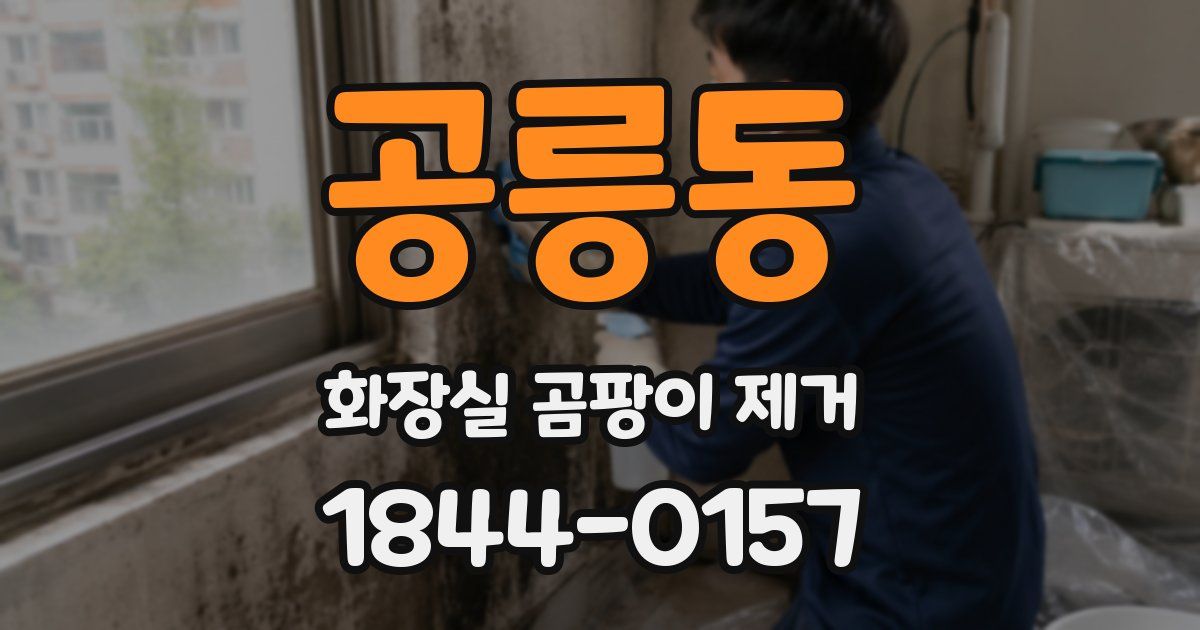 공릉동 화장실 곰팡이 제거