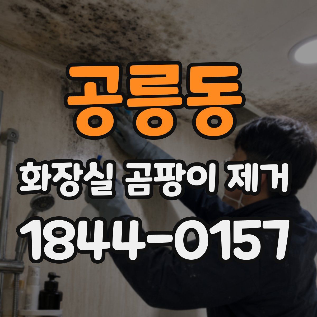공릉동 화장실 곰팡이 제거