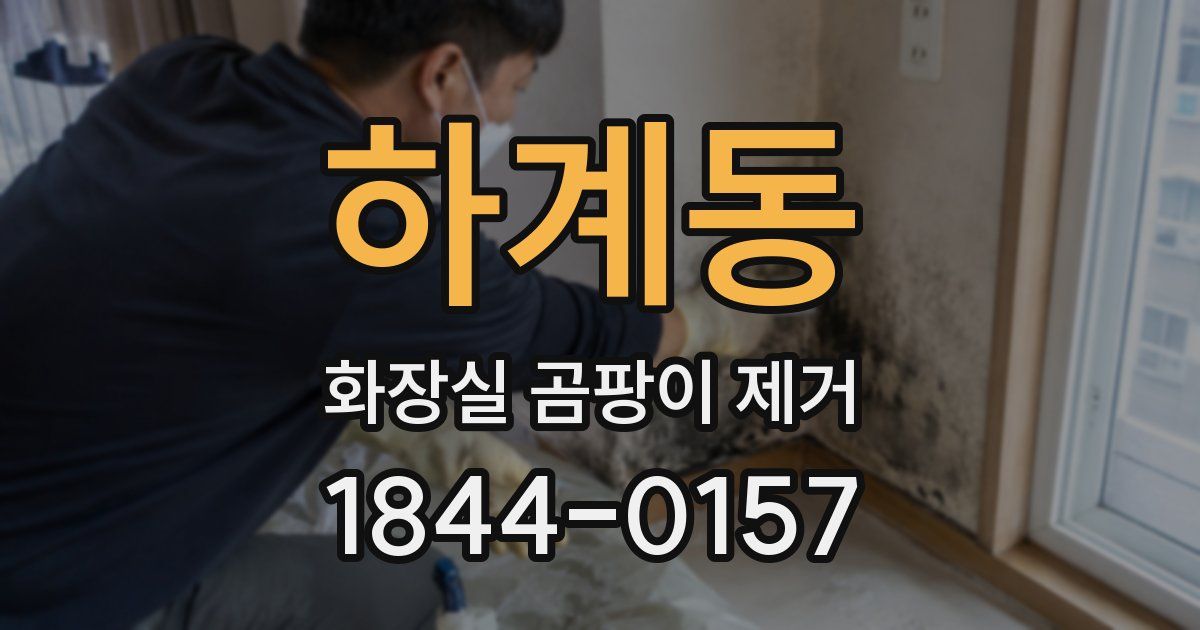 하계동 화장실 곰팡이 제거
