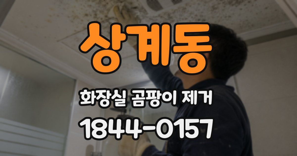 상계동 화장실 곰팡이 제거