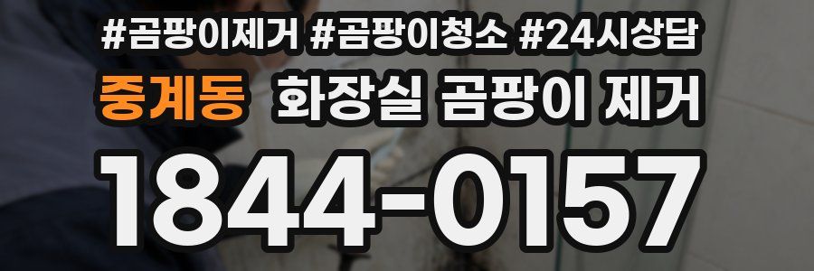 중계동 화장실 곰팡이 제거