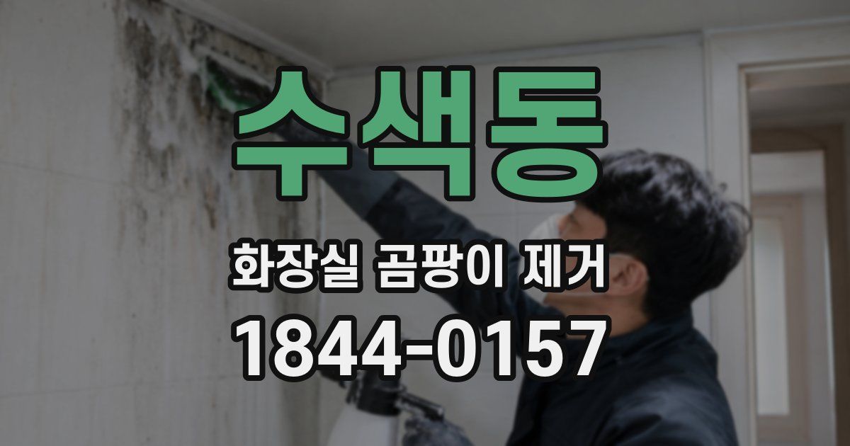 수색동 화장실 곰팡이 제거
