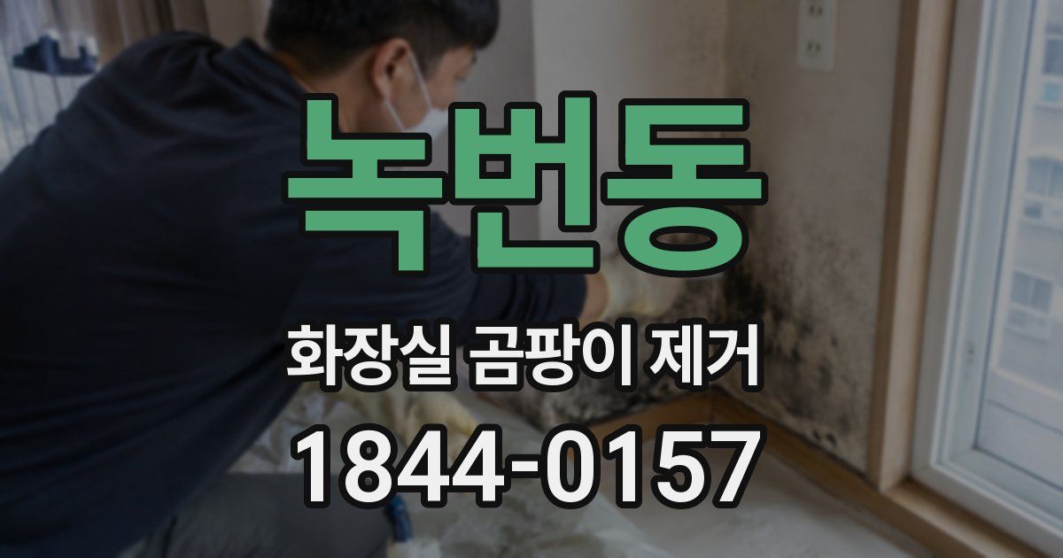 녹번동 화장실 곰팡이 제거