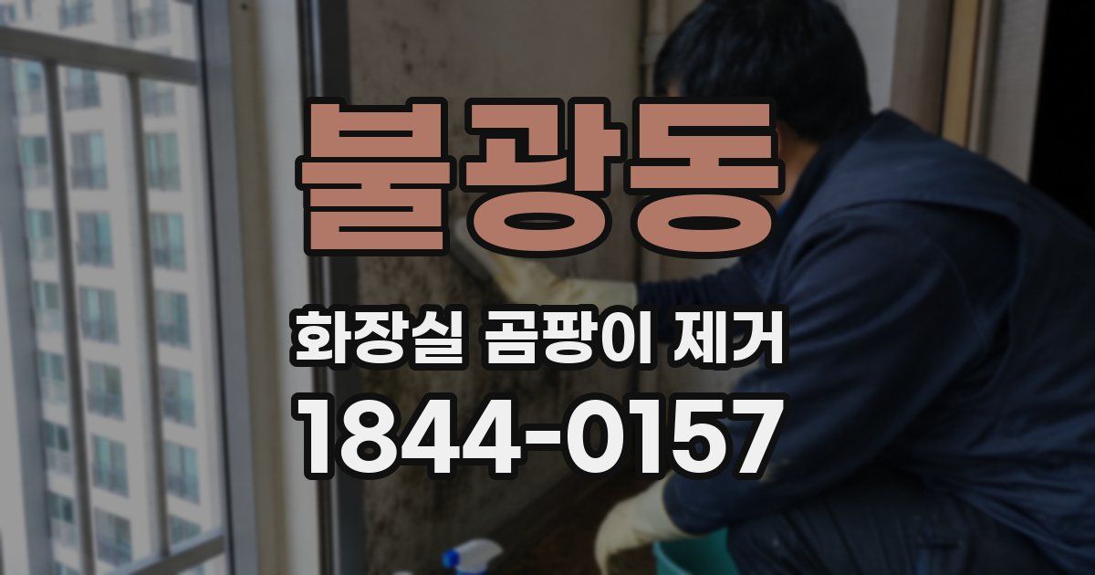 불광동 화장실 곰팡이 제거