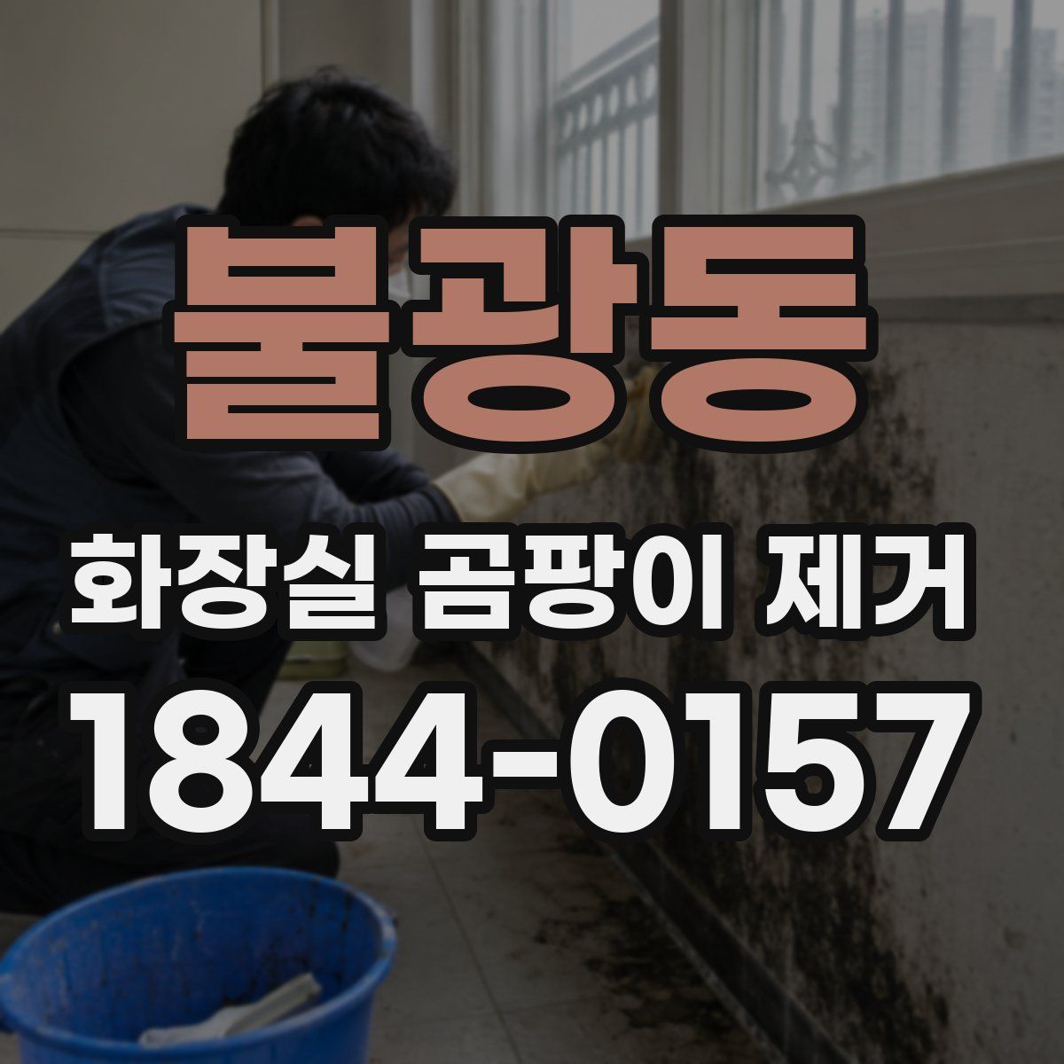 불광동 화장실 곰팡이 제거