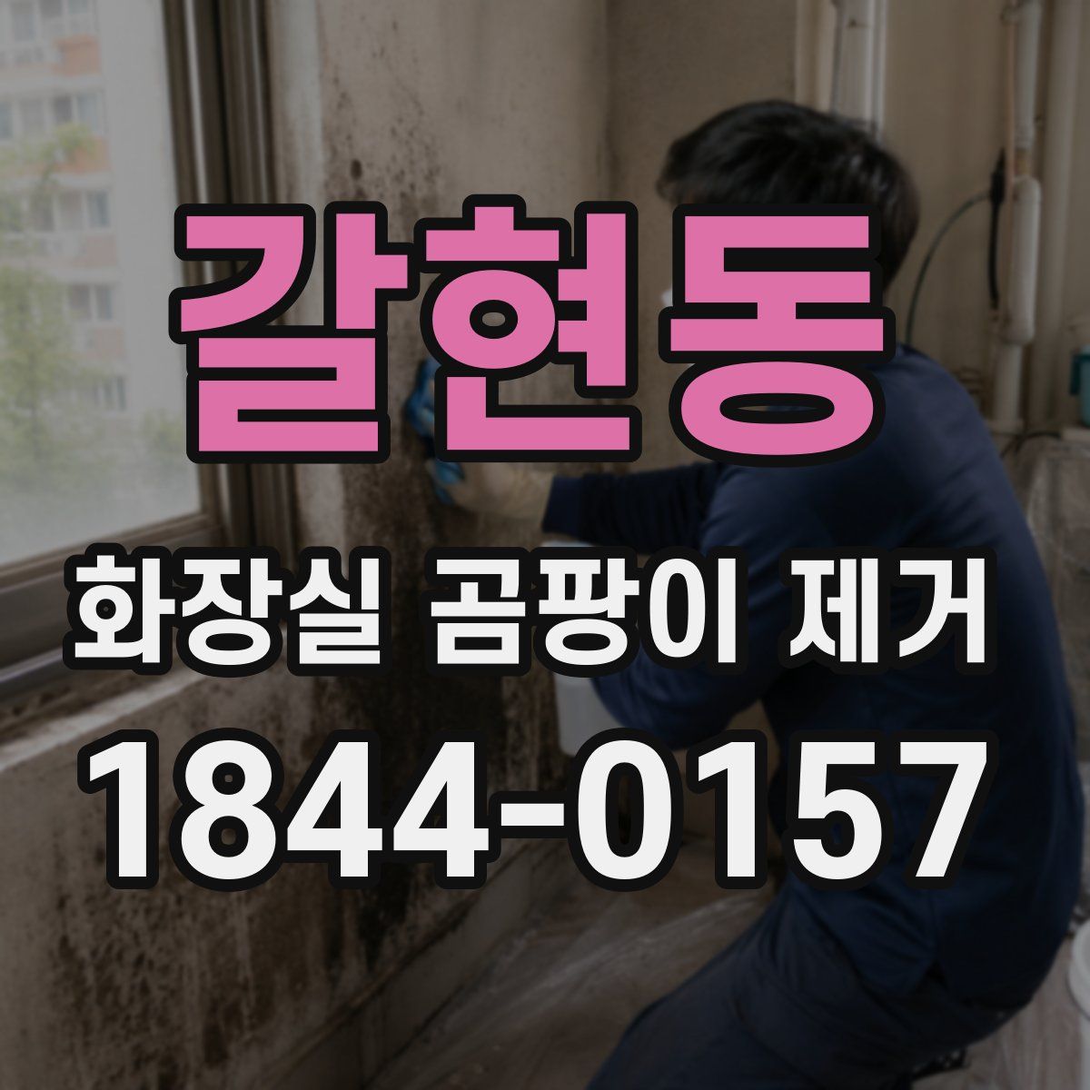 갈현동 화장실 곰팡이 제거