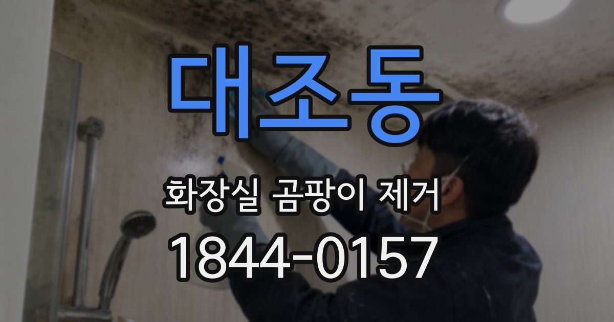 대조동 화장실 곰팡이 제거