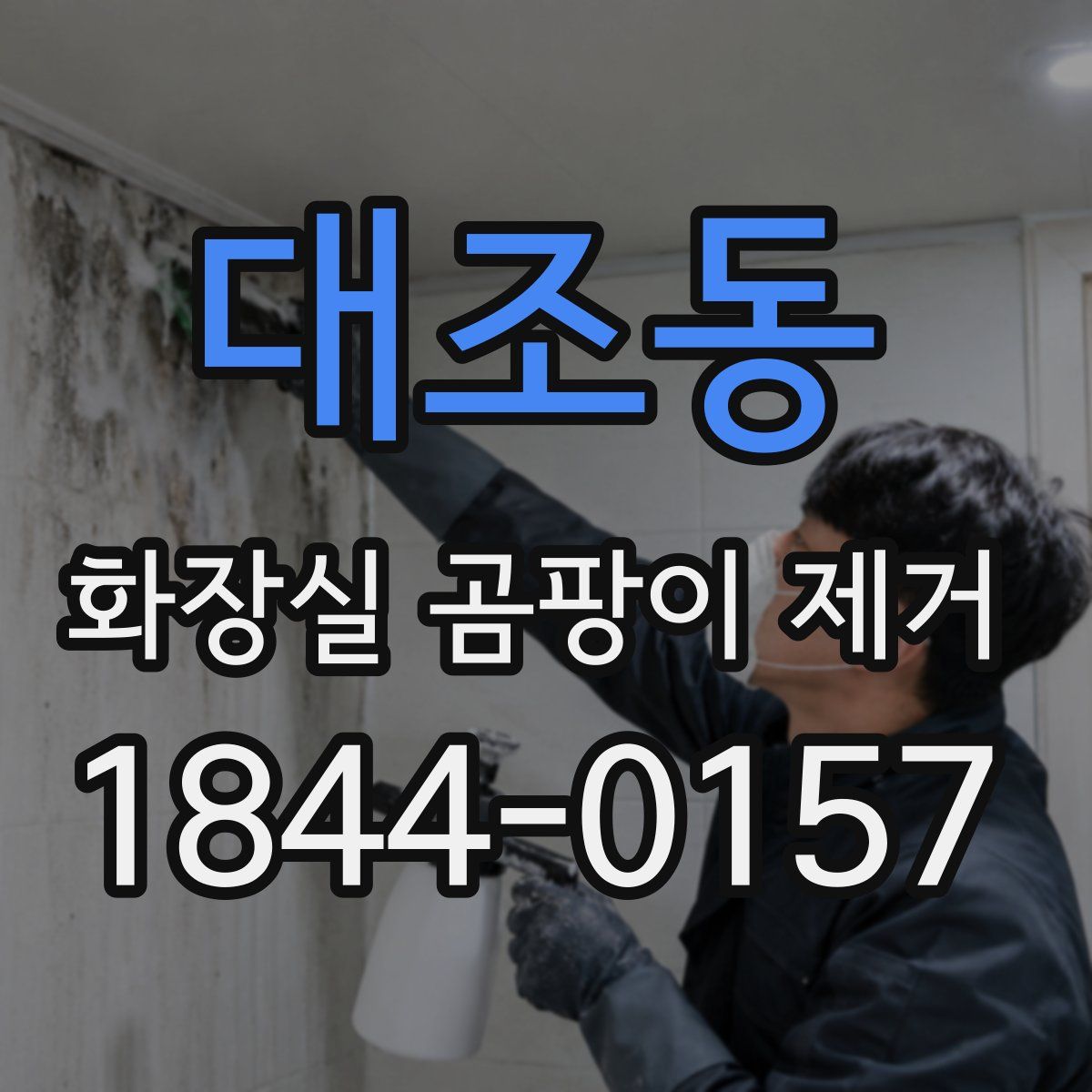 대조동 화장실 곰팡이 제거