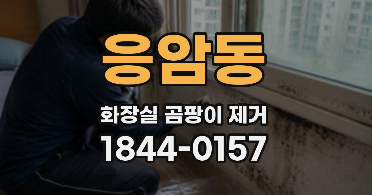응암동 화장실 곰팡이 제거