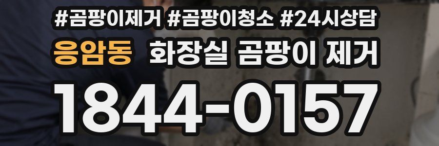 응암동 화장실 곰팡이 제거